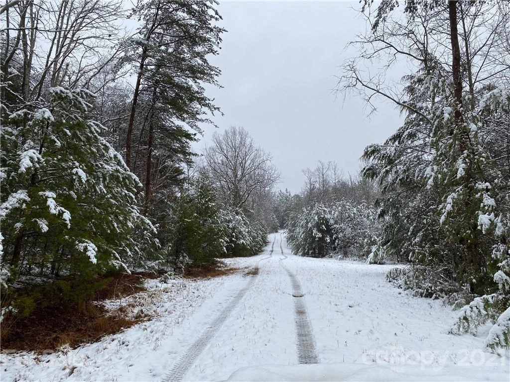 356 Pilot Ridge Road #12 - Photo 31