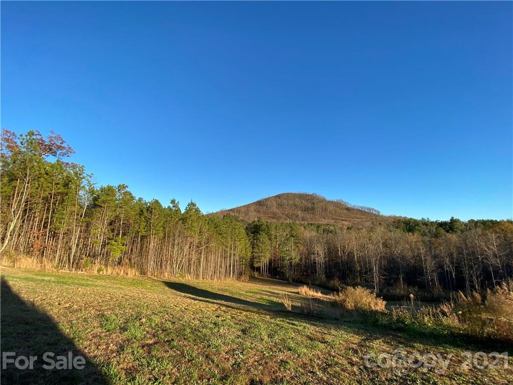 257 Pilot Ridge Road #18 - Photo 13