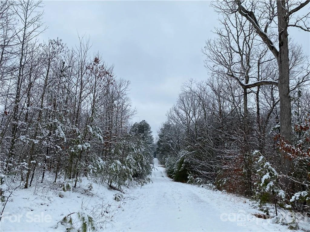 257 Pilot Ridge Road #18 - Photo 25