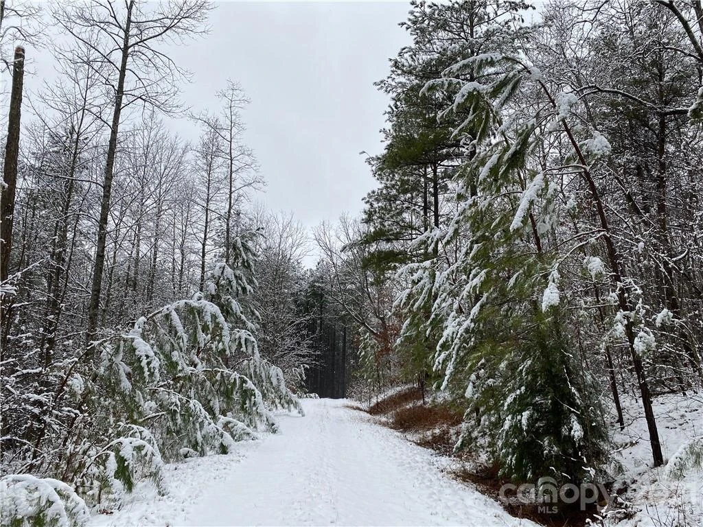 95 Pilot Ridge Road #21 - Photo 29