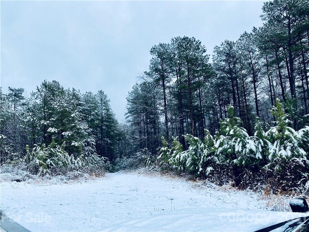 94 Pilot Ridge Road #22 - Photo 16