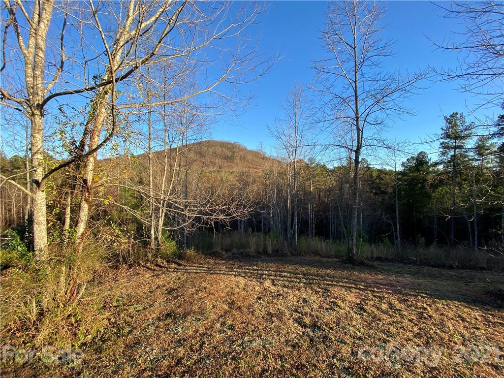 221 Pilot Ridge Road #23 - Photo 14