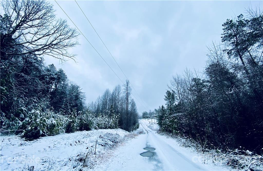 221 Pilot Ridge Road #23 - Photo 18