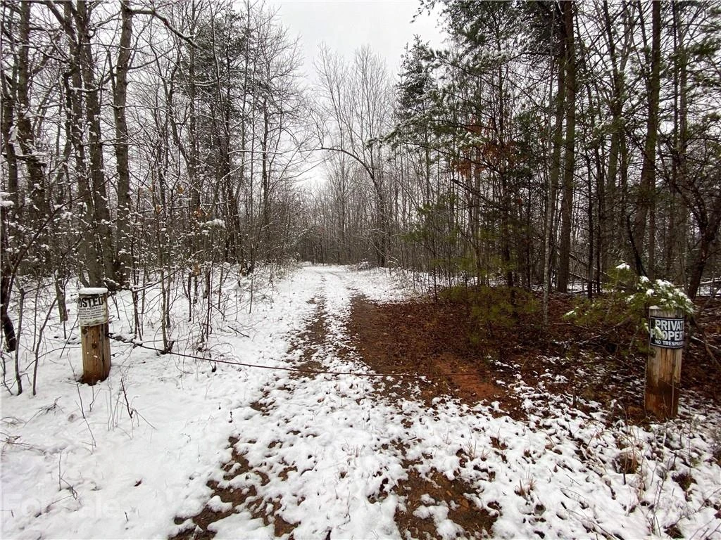 221 Pilot Ridge Road #23 - Photo 27