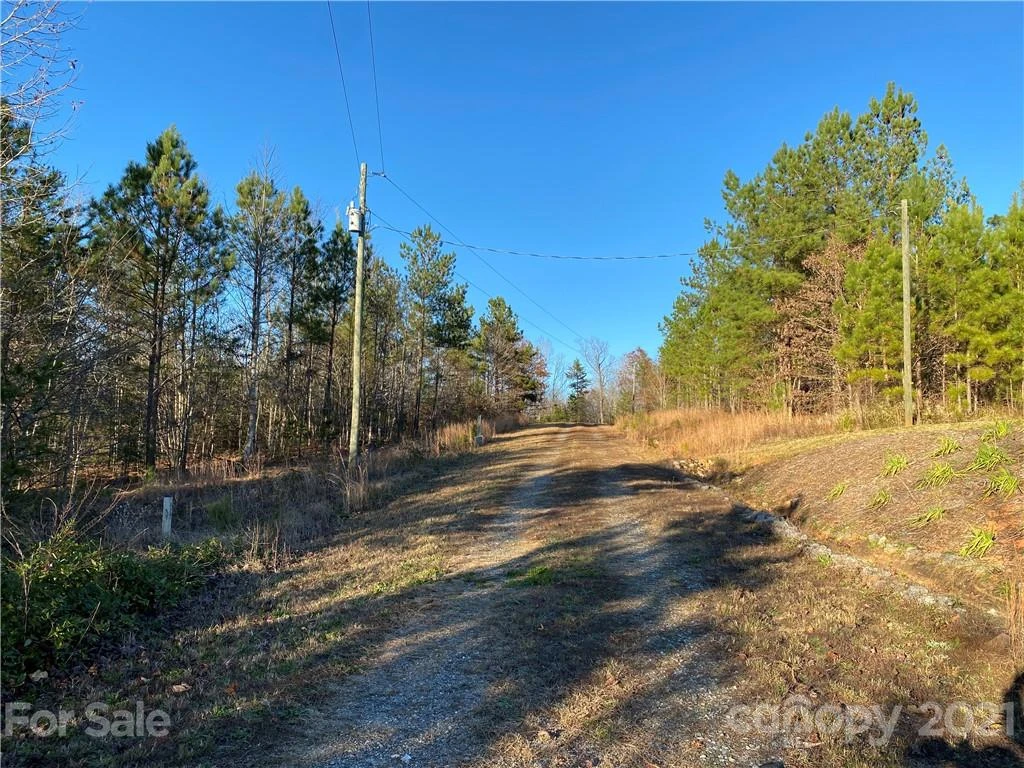 159 Pilot Ridge Road #25 - Photo 9