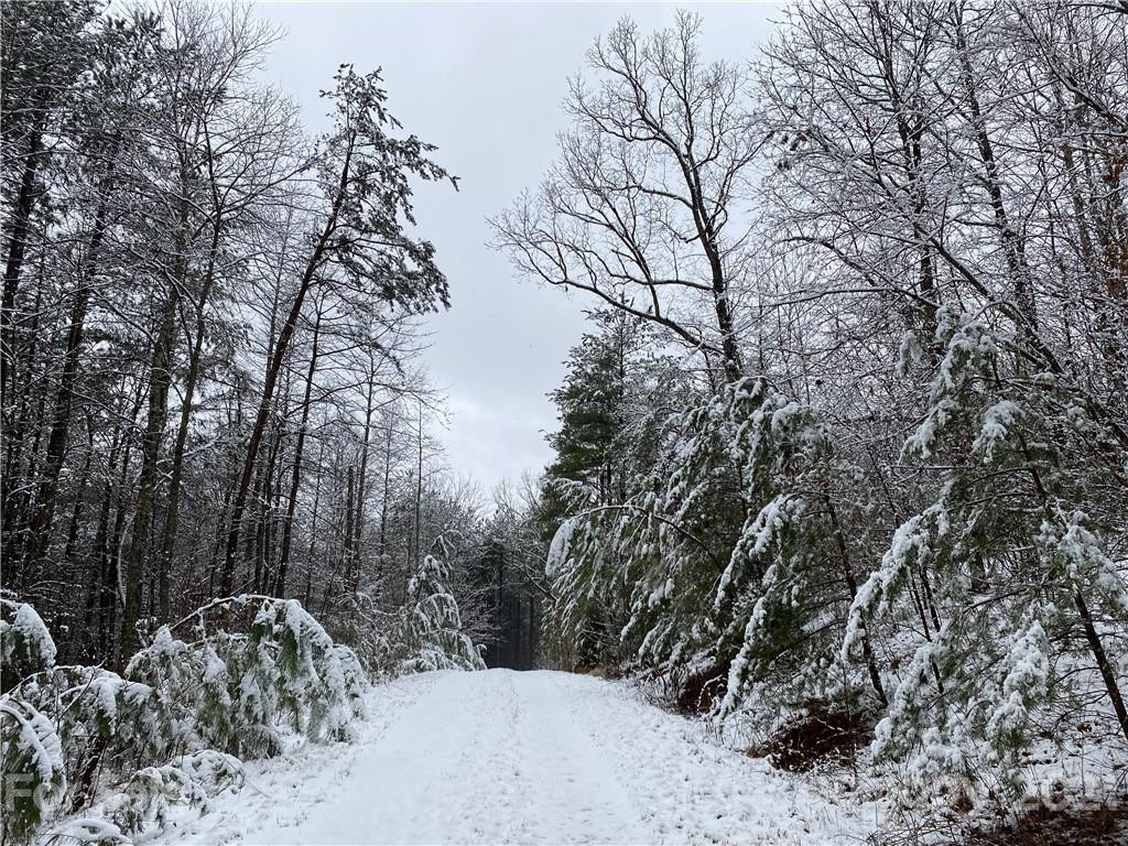 481 Pilot Ridge Road #27 - Photo 28