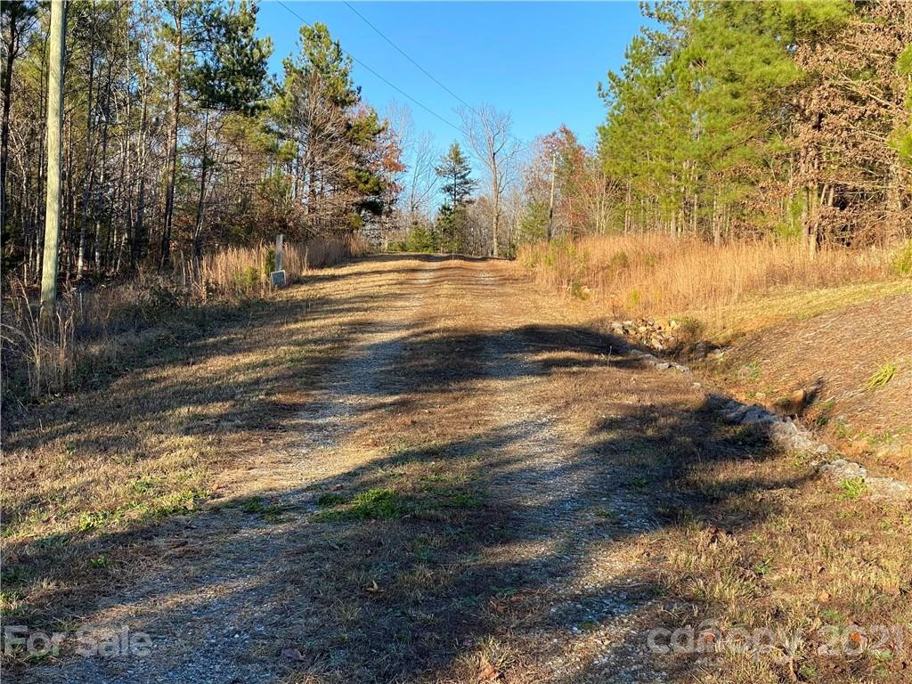 481 Pilot Ridge Road #27 - Photo 10