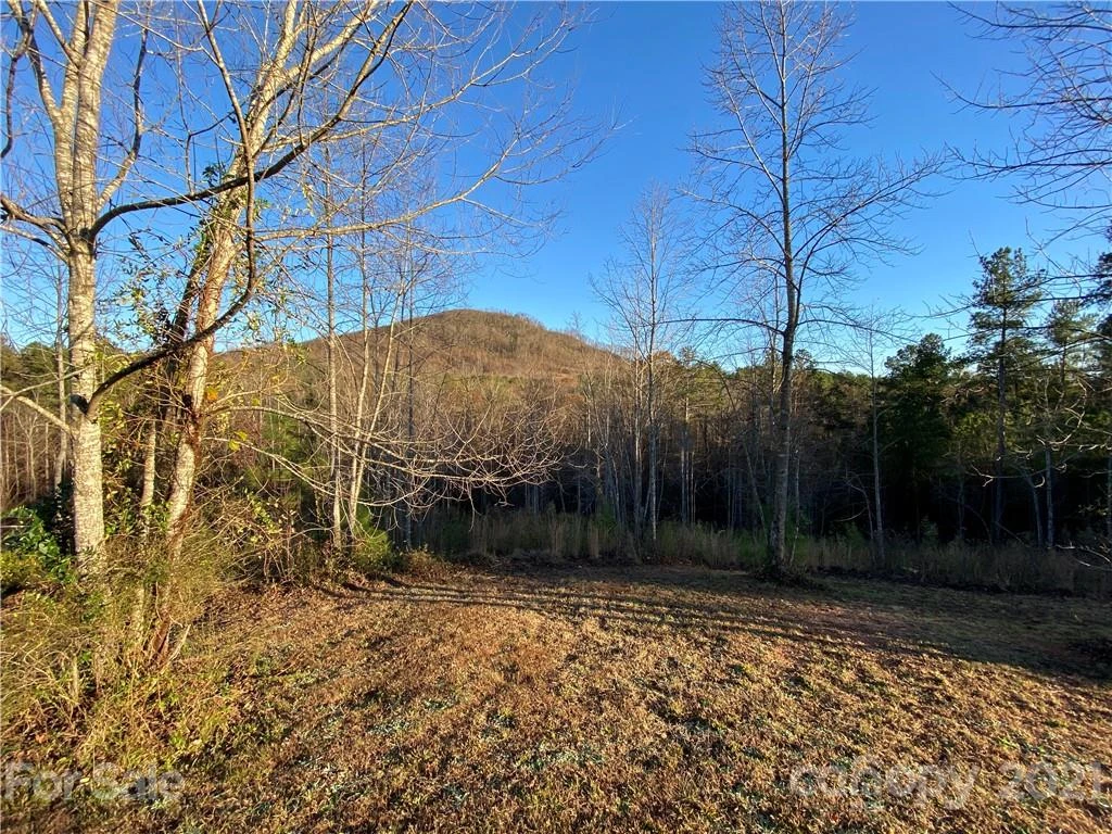 429 Pilot Ridge Road #28 - Photo 14