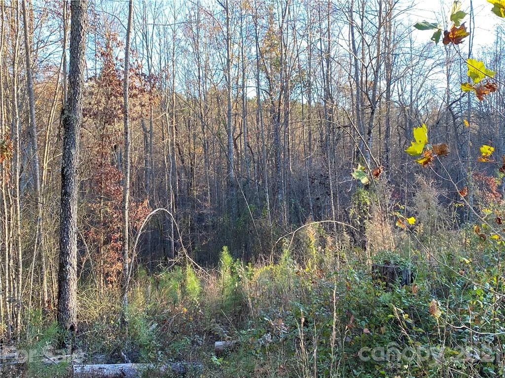 429 Pilot Ridge Road #28 - Photo 15
