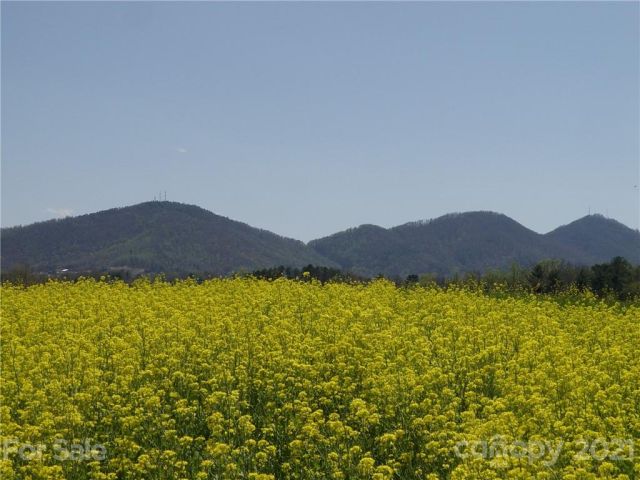 1293 Bear Creek Road