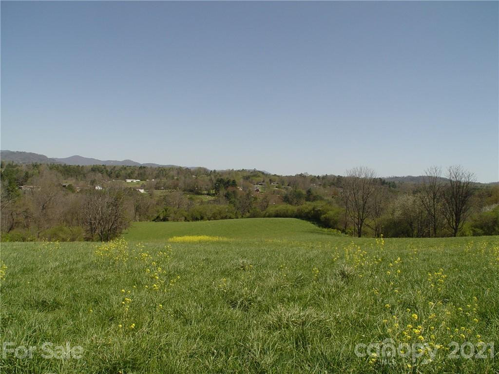 1293 Bear Creek Road - Photo 2
