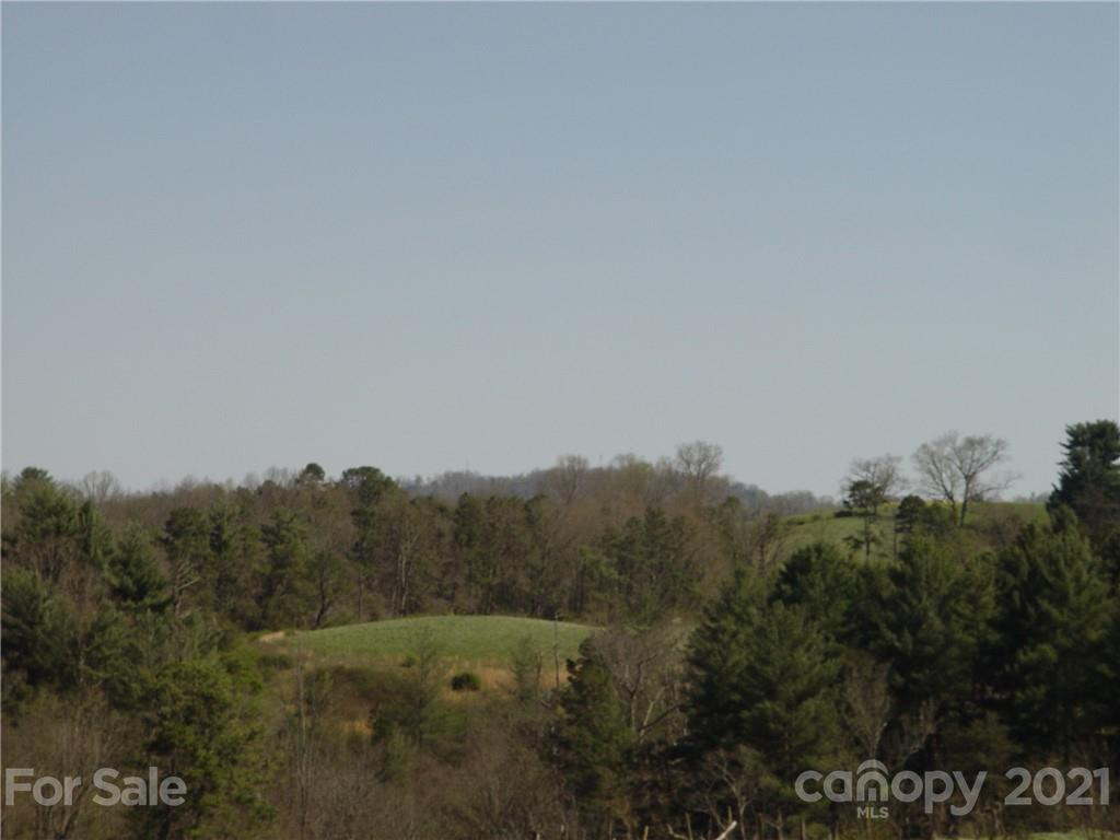 1293 Bear Creek Road - Photo 11