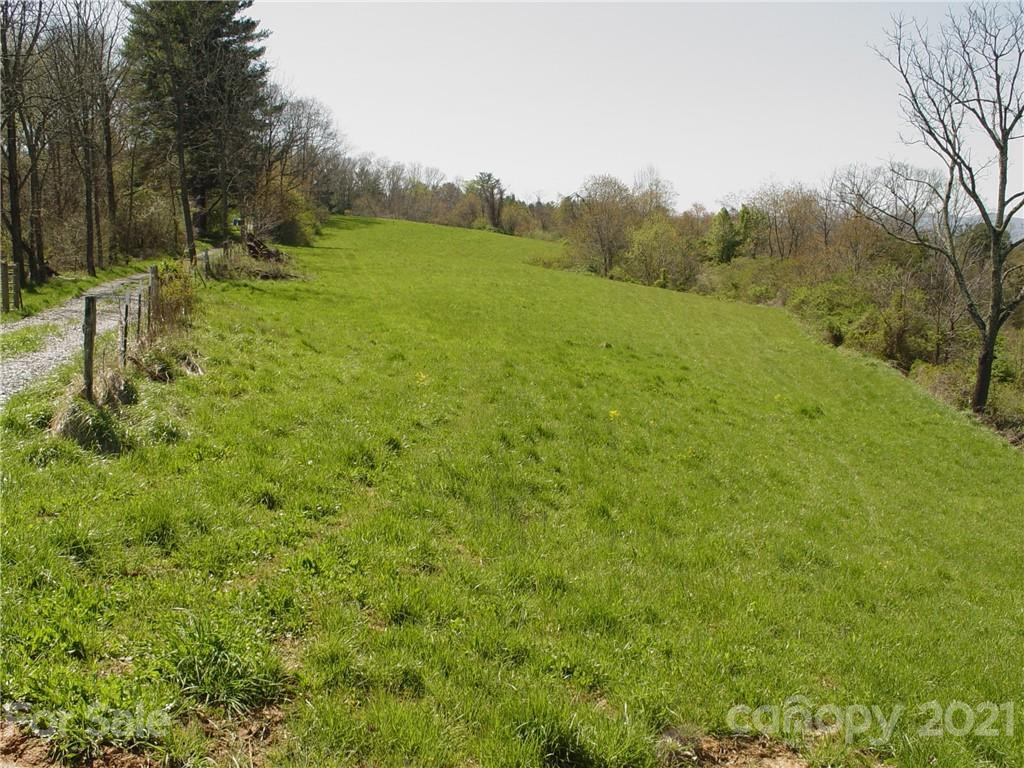 1293 Bear Creek Road - Photo 13