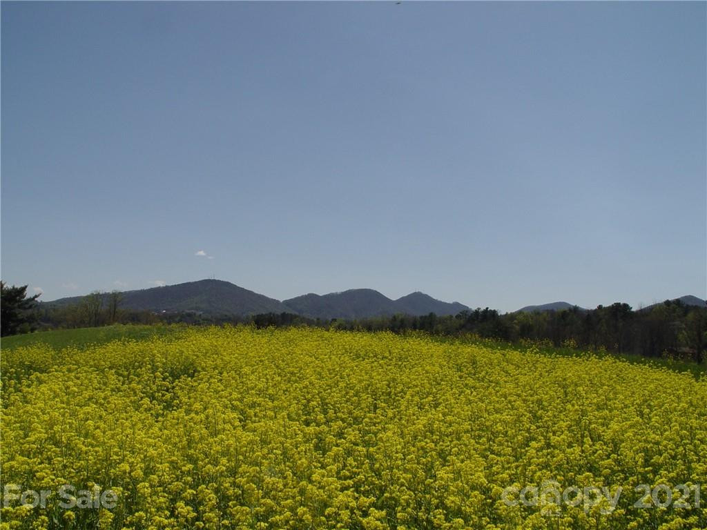 1293 Bear Creek Road - Photo 3