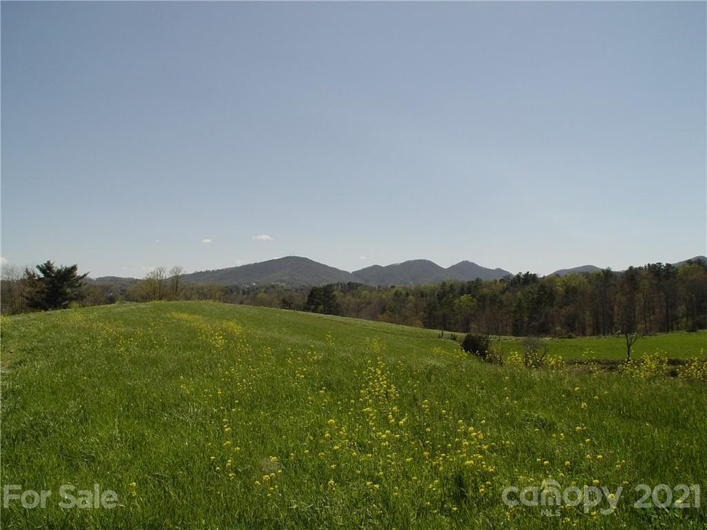 1293 Bear Creek Road - Photo 4