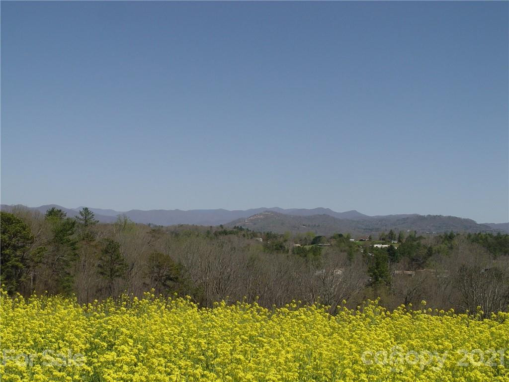 1293 Bear Creek Road - Photo 5