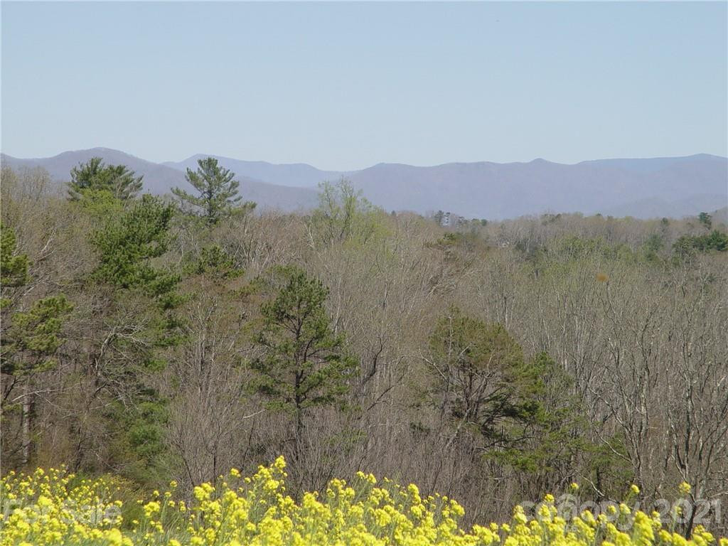 1293 Bear Creek Road - Photo 6