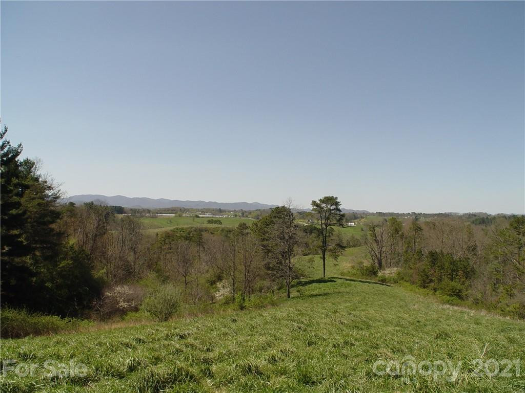 1293 Bear Creek Road - Photo 7
