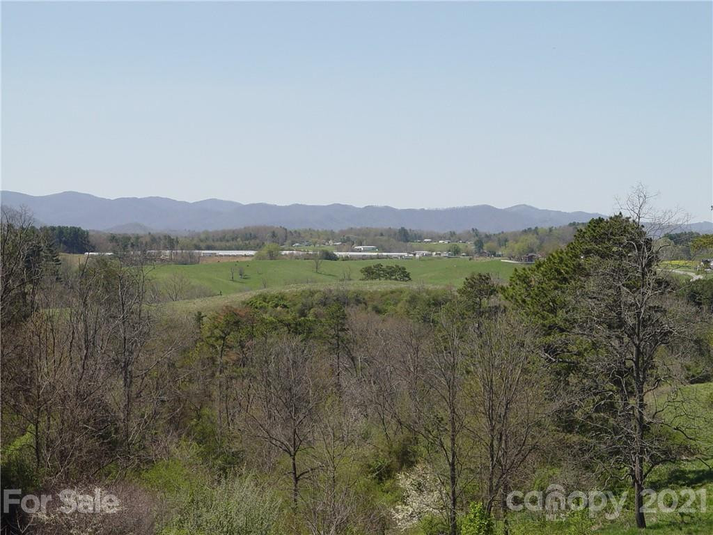 1293 Bear Creek Road - Photo 8