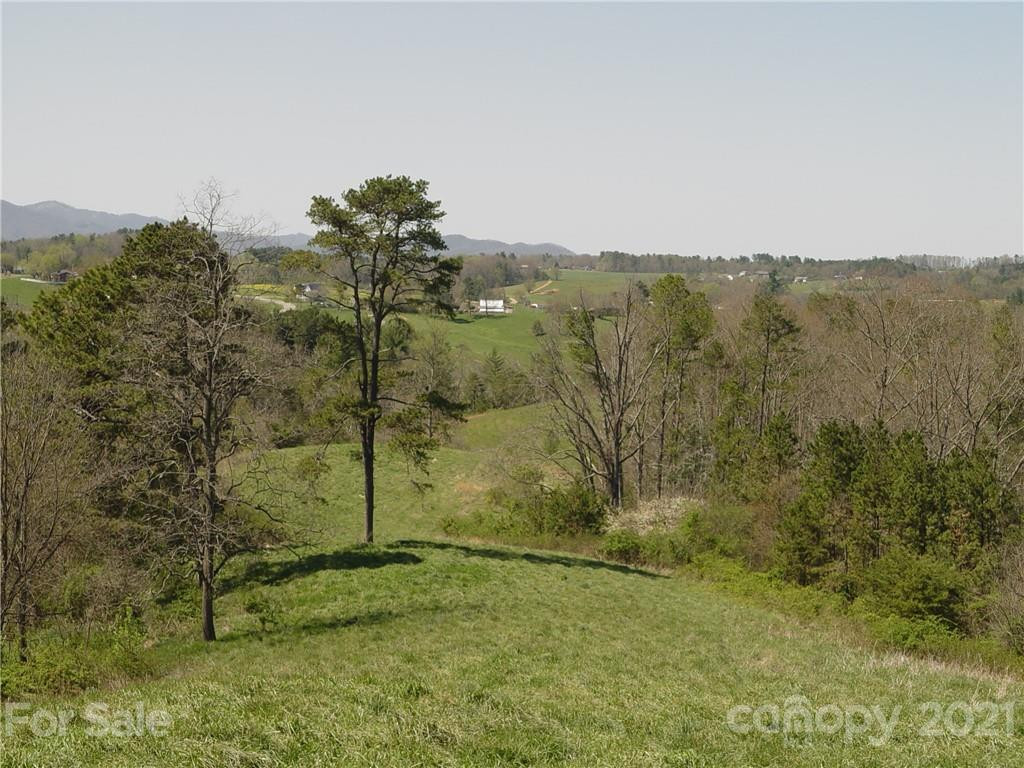 1293 Bear Creek Road - Photo 9