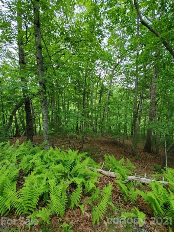 141 River Club Trail #8 - Photo 2