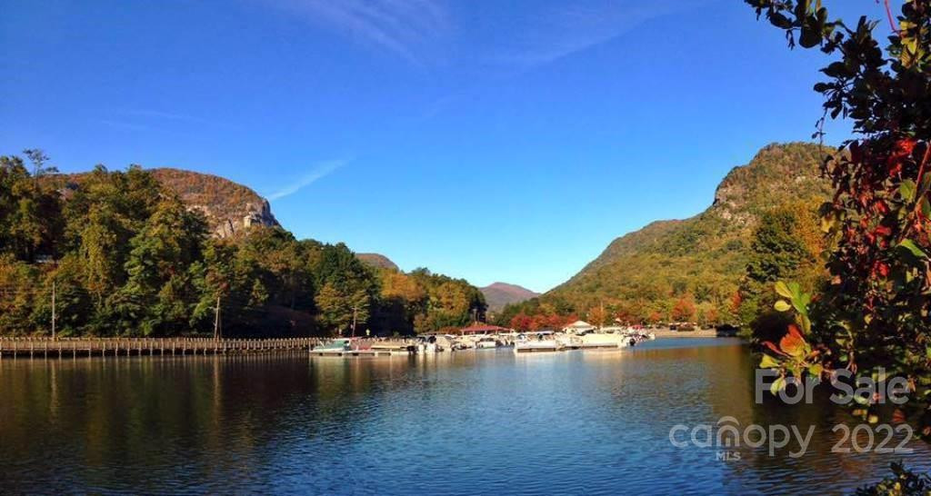 9 and 10 Grassy Knob Road #9 and 10 - Photo 11