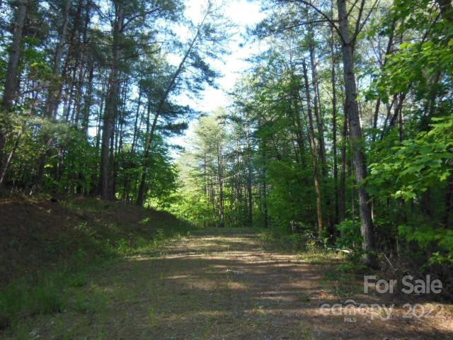 9 and 10 Grassy Knob Road #9 and 10 - Photo 6