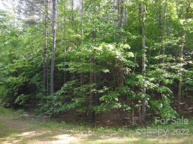 9 and 10 Grassy Knob Road #9 and 10 - Photo 7