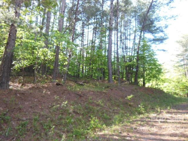 9 and 10 Grassy Knob Road #9 and 10 - Photo 8