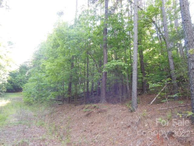 9 and 10 Grassy Knob Road #9 and 10 - Photo 9