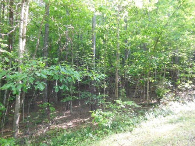 9 and 10 Grassy Knob Road #9 and 10 - Photo 10