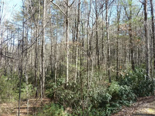 30 Abby Falls Drive, Rosman, NC, 28772