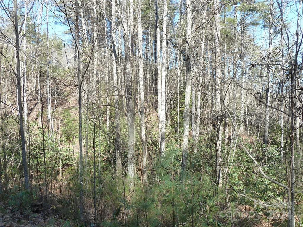 30 Abby Falls Drive #30 - Photo 15