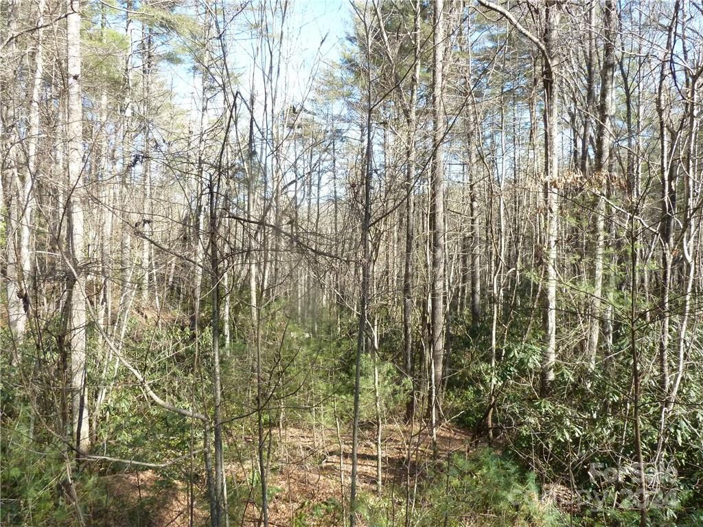 30 Abby Falls Drive #30 - Photo 17