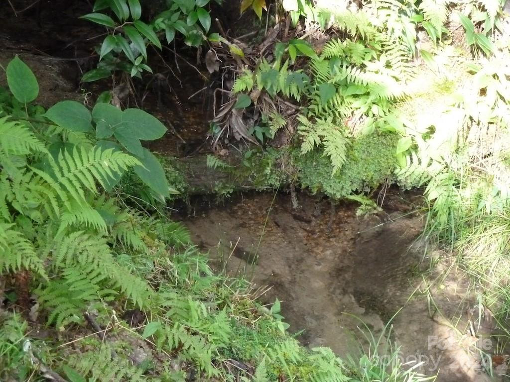 30 Abby Falls Drive #30 - Photo 19