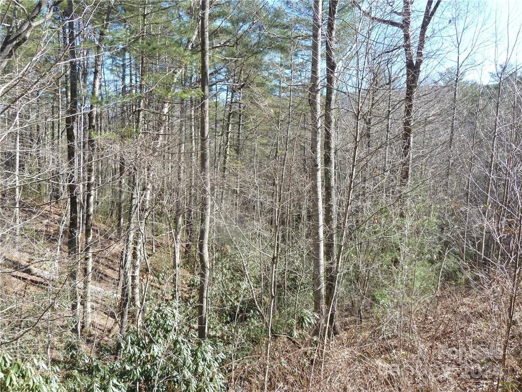 30 Abby Falls Drive #30 - Photo 20