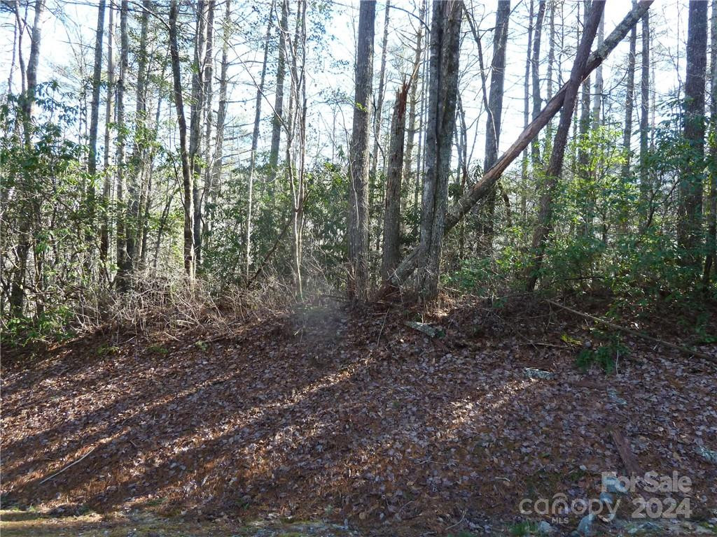 30 Abby Falls Drive #30 - Photo 21