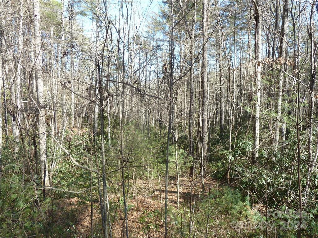 30 Abby Falls Drive #30 - Photo 22