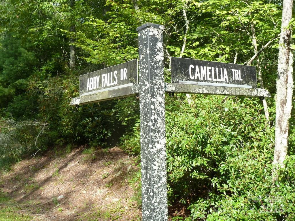 30 Abby Falls Drive #30 - Photo 24