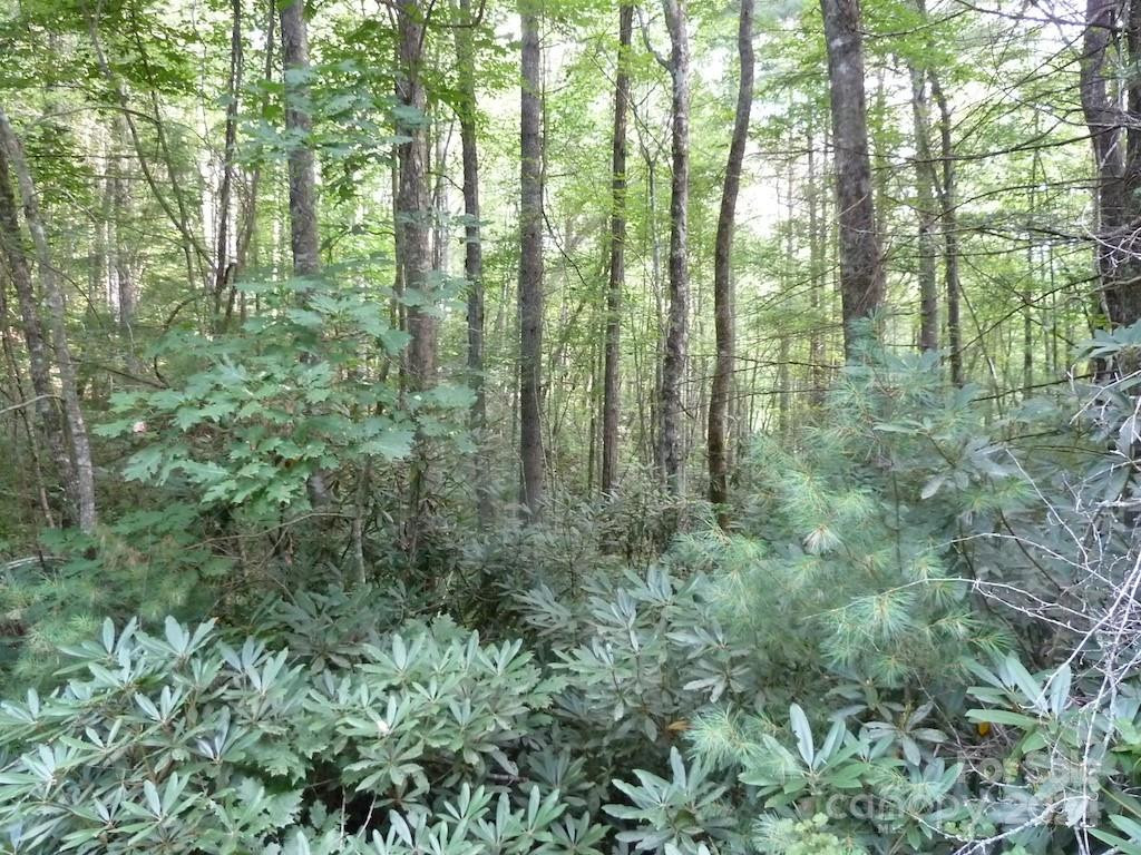 30 Abby Falls Drive #30 - Photo 25