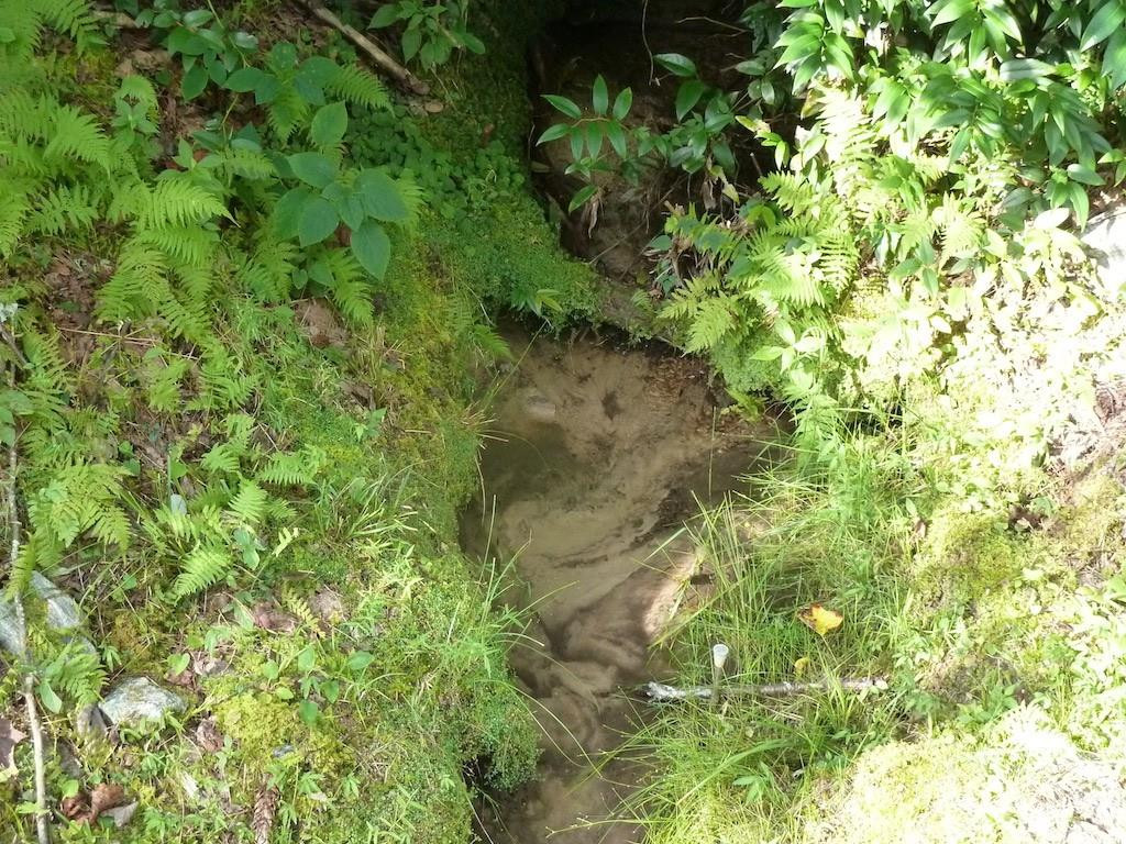 30 Abby Falls Drive #30 - Photo 28