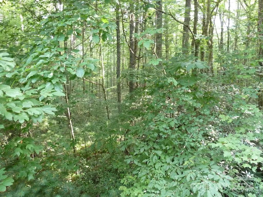 30 Abby Falls Drive #30 - Photo 29