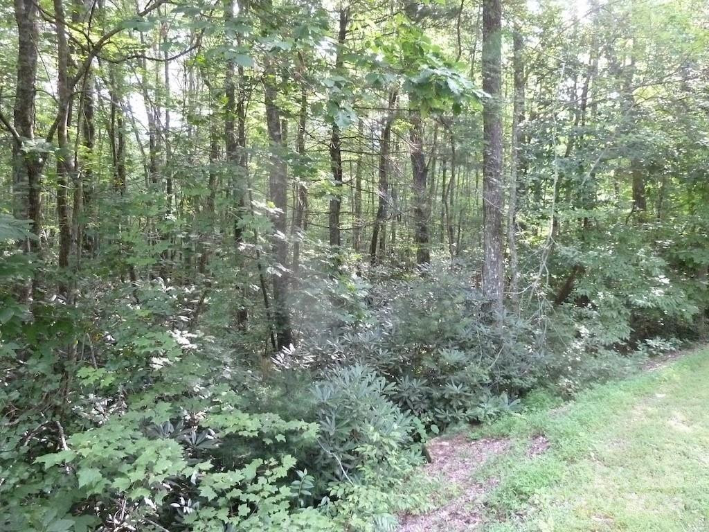 30 Abby Falls Drive #30 - Photo 30