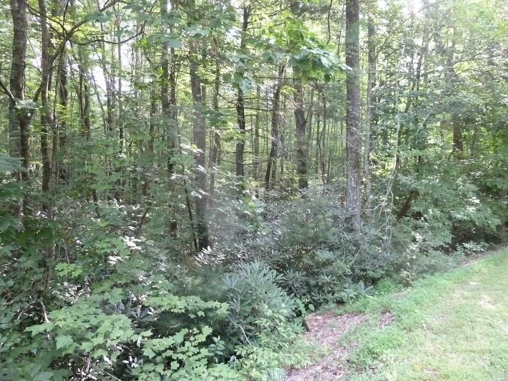 30 Abby Falls Drive #30 - Photo 30