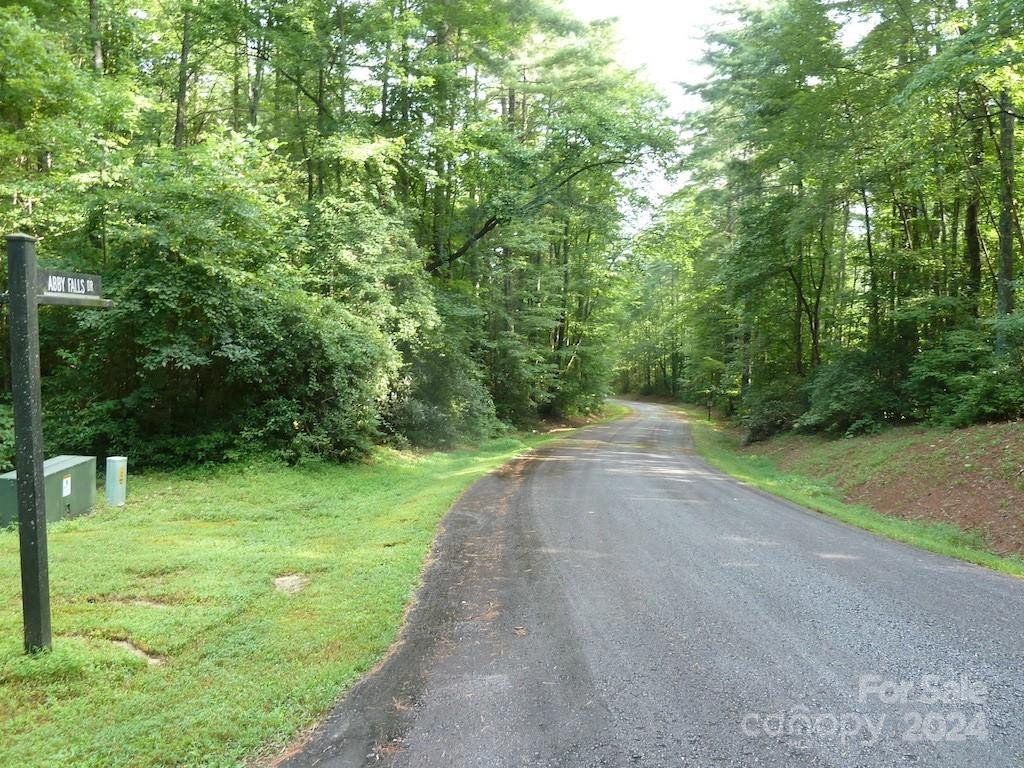 30 Abby Falls Drive #30 - Photo 31