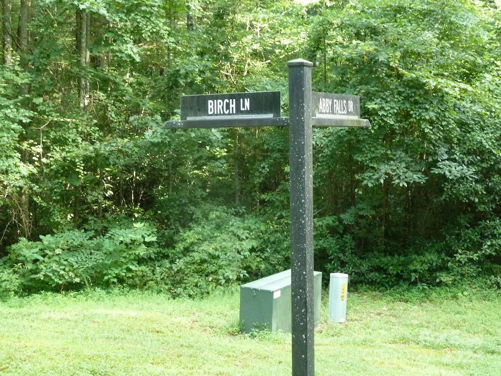 30 Abby Falls Drive #30 - Photo 32