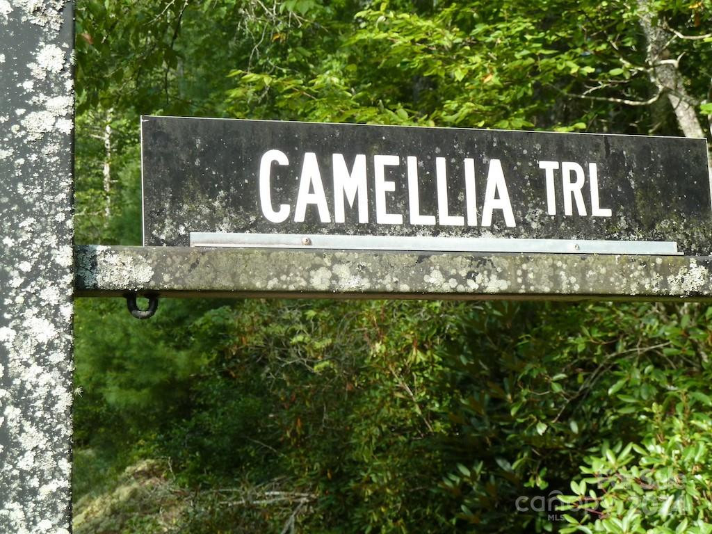 30 Abby Falls Drive #30 - Photo 33