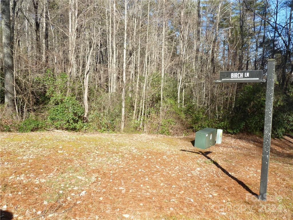 30 Abby Falls Drive #30 - Photo 34