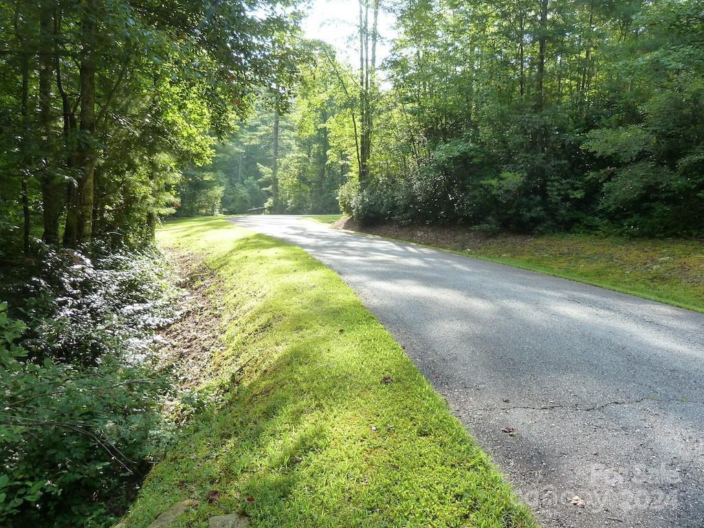 30 Abby Falls Drive #30 - Photo 36