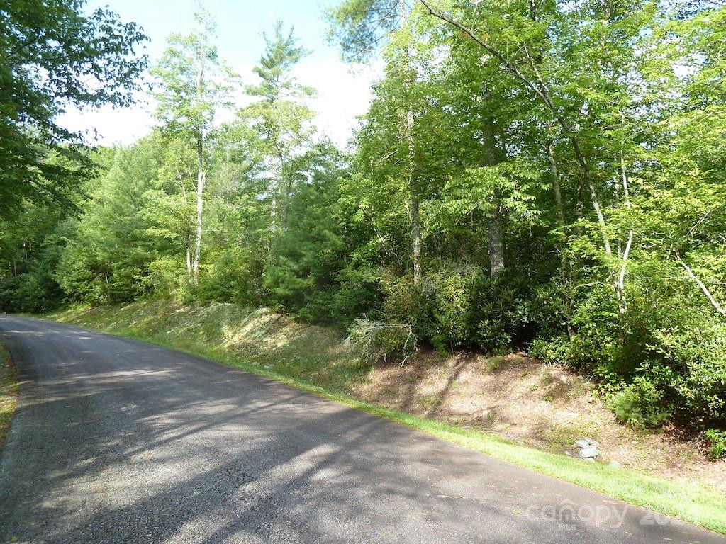 30 Abby Falls Drive #30 - Photo 38